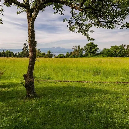 Nyaraló Ferienwohnpark Satteldachhaus Typ 9 Sd 11